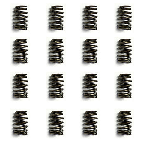GM 19420455 Single Beehive Valve Spring Set of 16